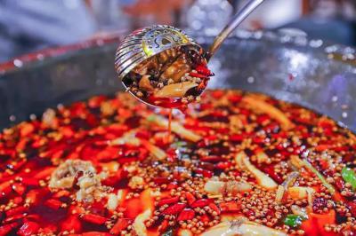 肥腸魚火鍋技術午夜福利理论片高清在线观看播放哪裏比較好？
